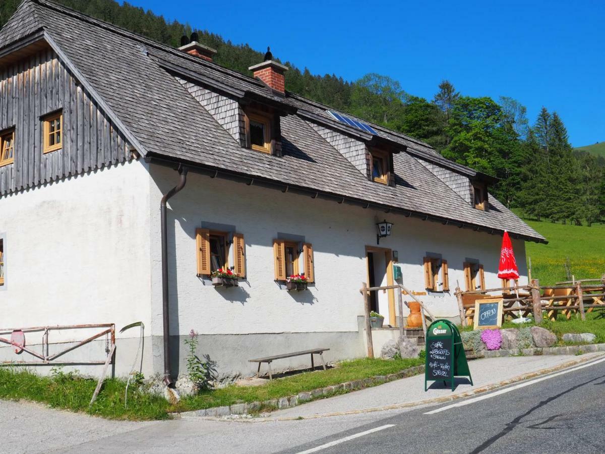 Zickerreith Almhutte Hostel Rosenau am Hengstpass Exterior photo